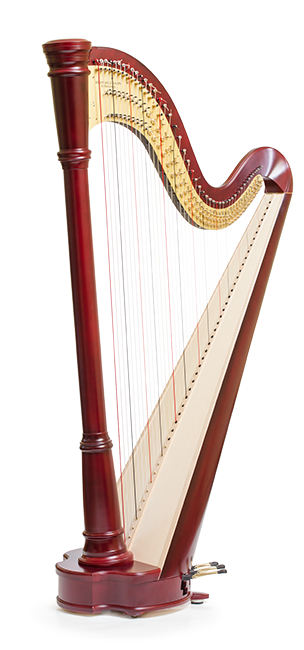 Student harps